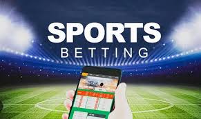 Descubra o Mundo de Apostas com 565bet Sua Plataforma de Entretenimento