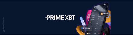 Exploring the Exciting World of PrimeXBT Bonuses